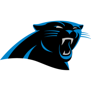 Blitzmas™ NFL Lights